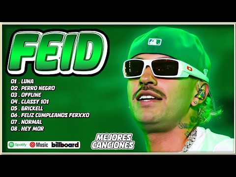 Feid Mix Éxitos 2024 - Lo Más Popular de Feid 2024