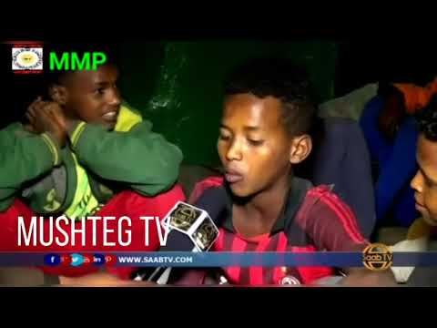 HEES QIIRO BADAN OO WIIL DARBI JIIF AH OO QADAY KANA ILMEYSISAY DADKA DHAN 2018