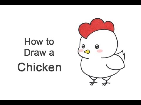 How to Draw a Chicken (Cartoon) - YouTube