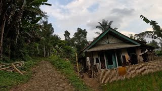 Download lagu Kecapi Suling Sunda Merdu Perjalanan Pedesaan Garut - Tasikmalaya Dengan Pemandangan Alam Indah mp3