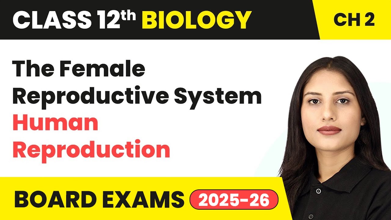 The Female Reproductive System - Human Reproduction | Class 12 Chapter 2 Biology | CBSE 2024-25