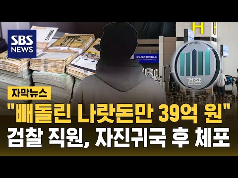 빼돌린 나랏돈만 39억 원 검찰 행정관, 자진 귀국 후 체포