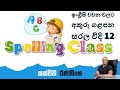 English Class Spelling For Beginners 12 ඉංග්‍රීසි​​​​​​ වචන ව�