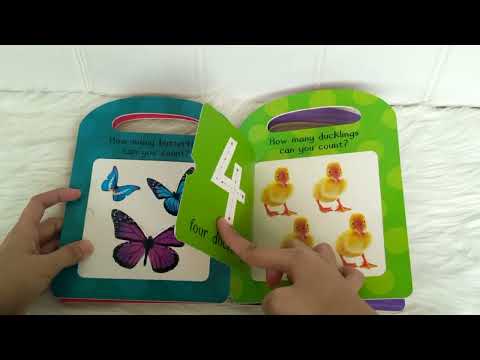 First Numbers My First Lift and Learn Board Book