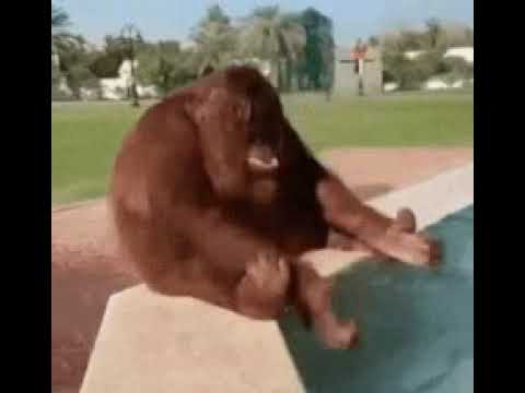 vi presento mio figlio