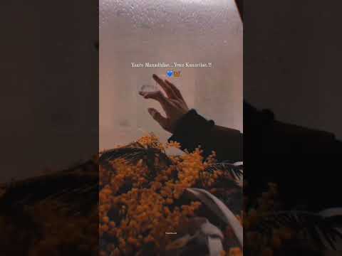 Yaaro Manadhilae👀✨ #Love💙 #Song🖤 #🦋 #Sparkling Cutz