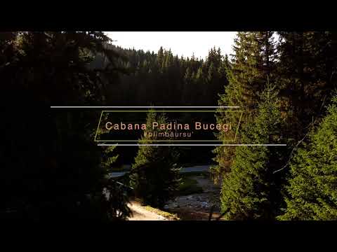 Cabana Padina Bucegi, short landscape by drone