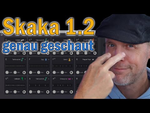 Skaka 1.2.0 genau hingeschaut