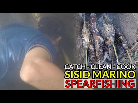 EP12 - Spearfishing : Pananambang ng isda sa lungga | Catch Clean and Cook