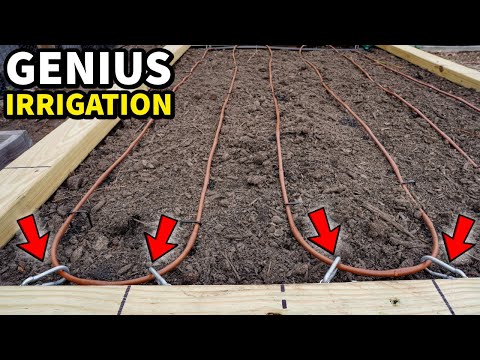 This New Way To Install DRIP IRRIGATION Is Genius!