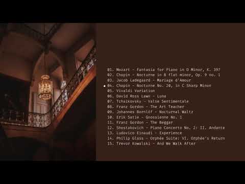 a dark academia classical study playlist - ancient library room ambience