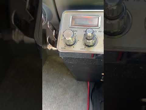 Skip in the mini grass 3/19/21