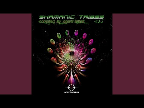 Ce Que Vous Voulez (Psylence Mind)