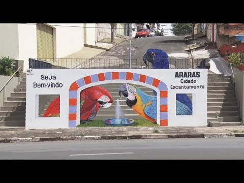 Muro pichado é transformado em cartão de visitas da cidade de Araras