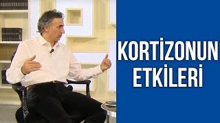Kortizonun Vücuda Etkisi | Doktor Fitt