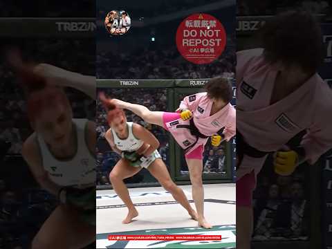 【ヒザ＆後ろ回し蹴りのコンボKO】空手vs 総合格闘技#Karate #MMA #異種格闘技