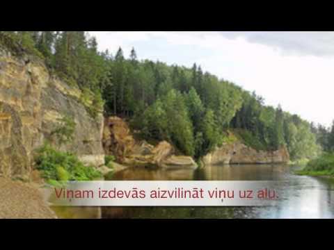 Mans vestures mājas darbs par Turaidas rozi