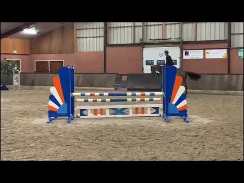 Showvideo Miss Montreal P.