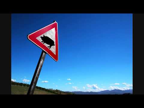 Voodoo and Serano feat. Zoe C. - Vulnerable