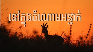 50. នៅក្នុងចំណោមអន្ទាក់ - Among Snares | Hope