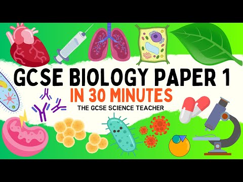 All of GCSE BIOLOGY Paper 1 in 30 minutes | The GCSE Science Teacher