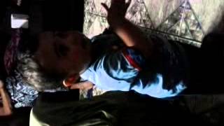 Atirei o pau no gato. Pintinho amarelinho