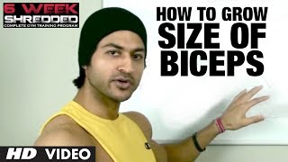 How To Grow Size Of Biceps | Health and Fitness Tips | Guru Mann | Workout Tips