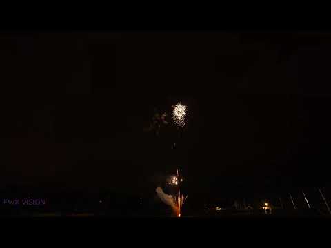 El Gato Terremoto 10s | FwkVision | 4K