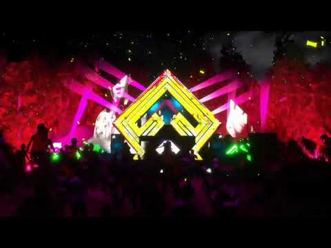 PINEO & LOEB - Live @ Future Forest - Virtual Spring 2020 Stream