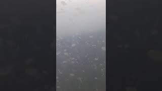 Aplica sc40 / Tuta-Absoluta