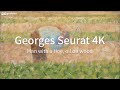 4K ART Georges Seurat Man With A Hoe Peaceful Music Violin Music
