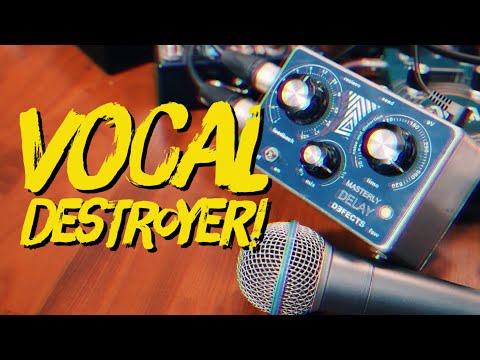 Defects Masterly Delay / Noisy Vocal Delay and Preamp TB image 6