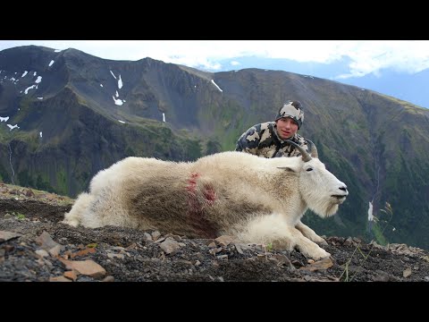 10 Day Mountain Goat Hunt | Grizzly In Camp