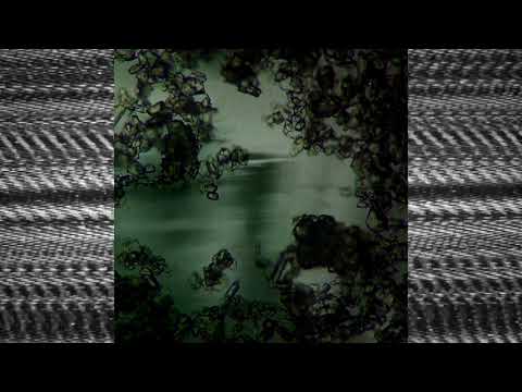 NoiseUp Label - NOISEUP LABEL PRESENTS: Aberva "Lisgencenive"