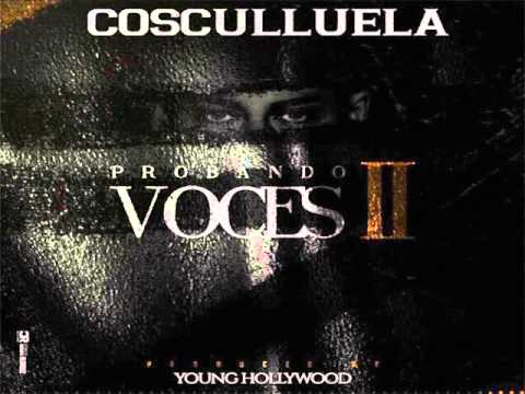 Probando Voces 2 - Cosculluela (Original) (Video Music)
