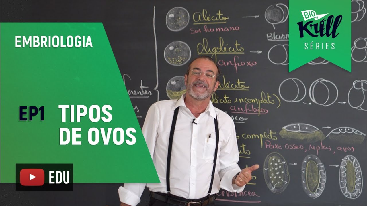 Tipos de ovos (Embriologia - EP 1) | Biokrill Series