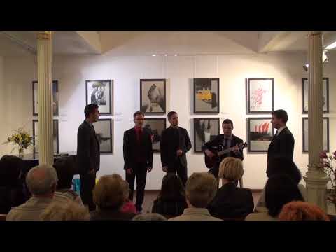 Kvintet Aeternum - Vilo moja