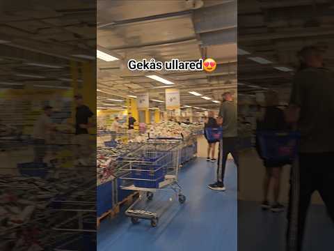 Miniatyrbild: gekås ullared #shopping #gothenburg #swedenlife #exploresweden #dailyvlog #travel #sweden #scandinan – Ullared haul på YouTube