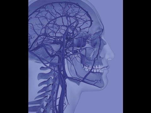 The Increasing Role of Technology in Vestibular Rehab - 2012 Neurology Podcast -