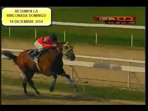 RESUMEN LA RINCONADA DOMINGO 14 DICIEMBRE 2014