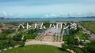 【ベトナム旅行】ハロン湾半日ツアーに参加しました【世界遺産】