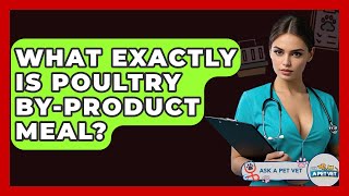 What Exactly Is Poultry By-product Meal? - Ask A Pet Vet