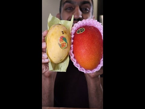 Pakistani Mango vs. The MOST EXPENSIVE MANGO in the World (Japanese Miyazaki)