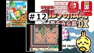 #12 【#GBC】【#ゼルダの伝説 #夢をみる島 DX】 最後の楽器をとりにカメイワ攻略。とりあえず攻略サイトみます