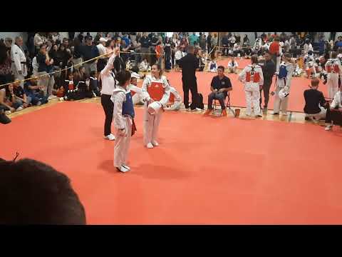 Global open kukkiwon cup 2023 championship  part 2