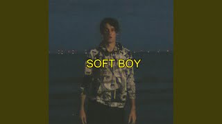 Download lagu Soft Boy mp3