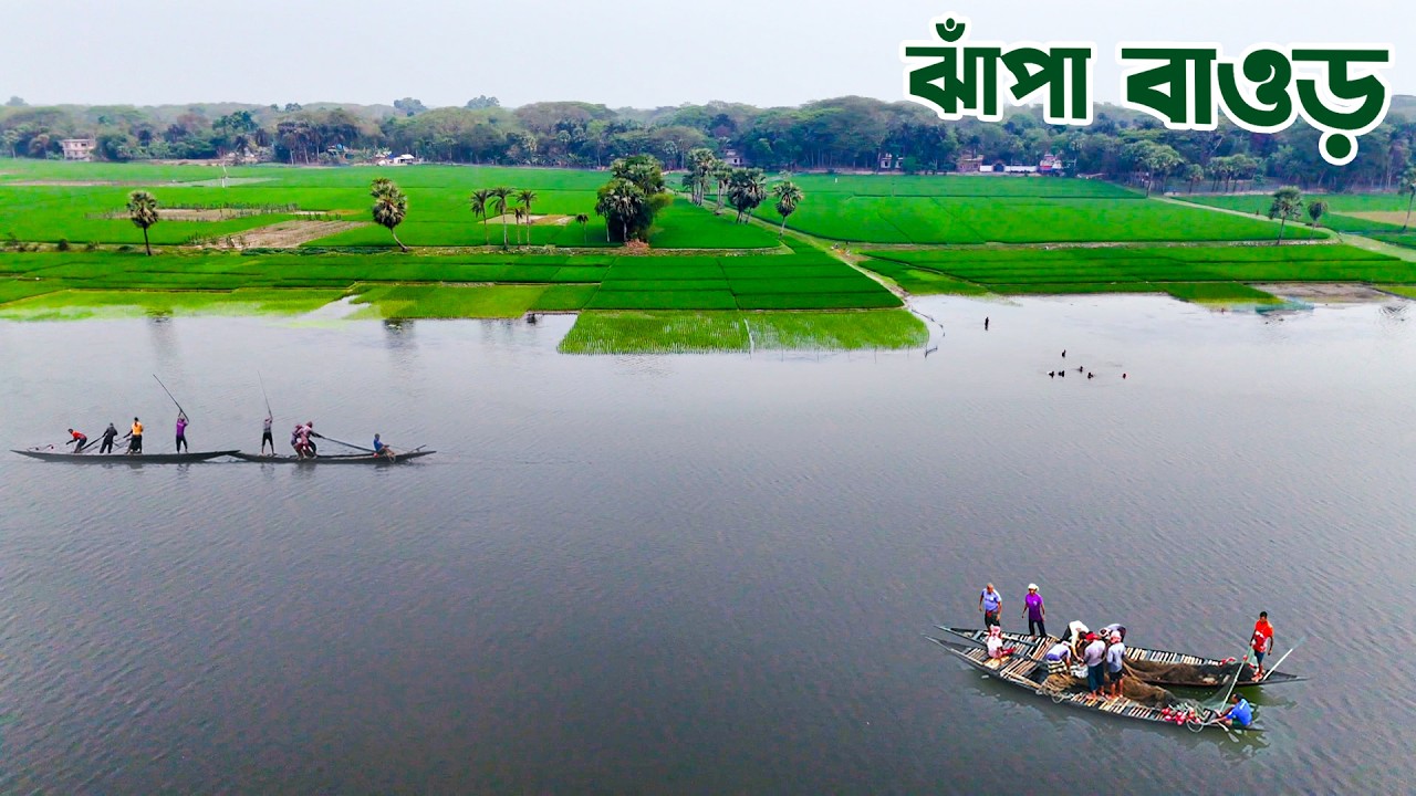 জলে জীবনে যশোরের প্রাণ ঝাঁপা বাওড় | Life on Water Jhapa Baor | Jessore Documentary