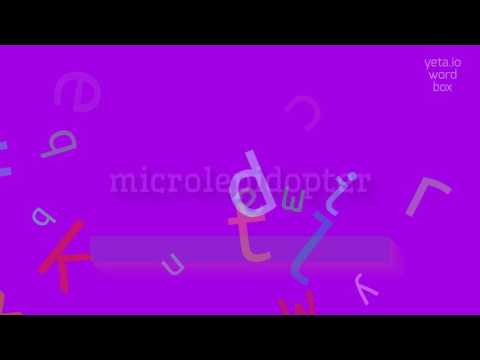 MICROLEPIDOPTER - HOW TO PRONOUNCE IT?