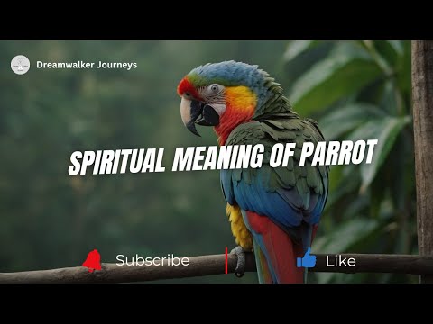 Spiritual Meaning of Parrot | Parrot Spiritual Meaning