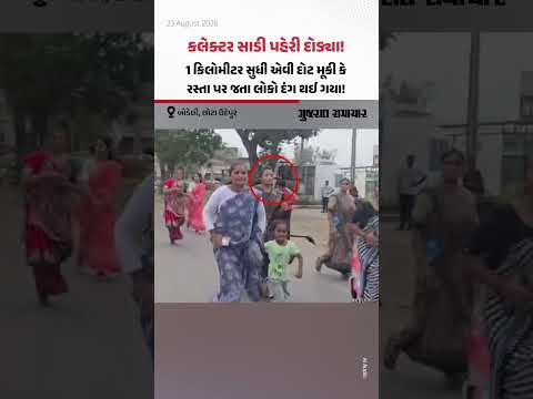 છોટા ઉદેપુરના કલેક્ટર સાડી પહેરી દોડ્યા! 1 કિલોમીટર સુધી એવી દોટ મૂકી કે લોકો દંગ થઈ ગયા છોટા ઉદેપુરના કલેક્ટર સાડી પહેરી દોડ્યા! 1 કિલોમીટર સુધી એવી દોટ મૂકી કે લોકો દંગ થઈ ગયા